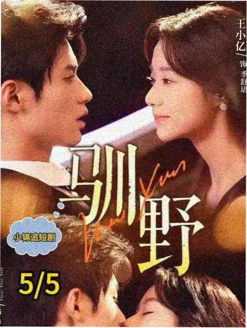 真人免费视频《长夜列车》公路剧情片剧照